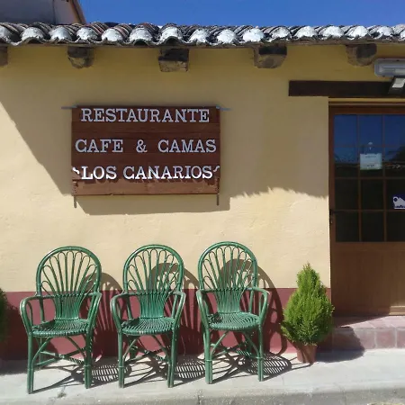 Canarios Calzadilla de la Cueza