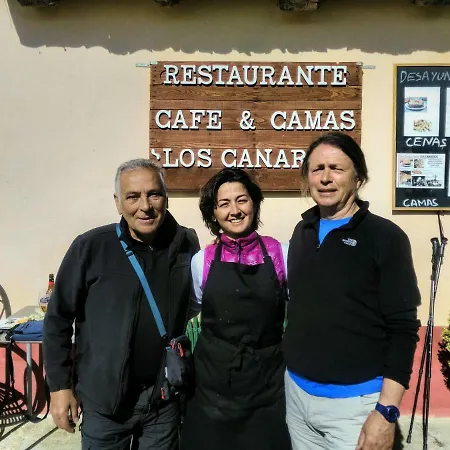 بيت شباب Canarios *